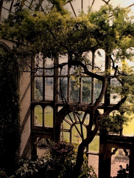 Arched Window, Botanical Garden, Paris 