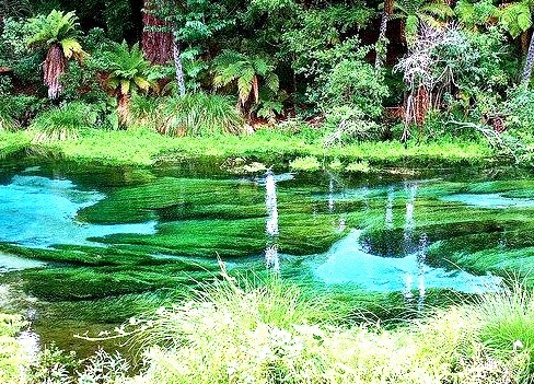 Hamurana Spring is the deepest natural fresh water spring on the North Island of New Zealand.