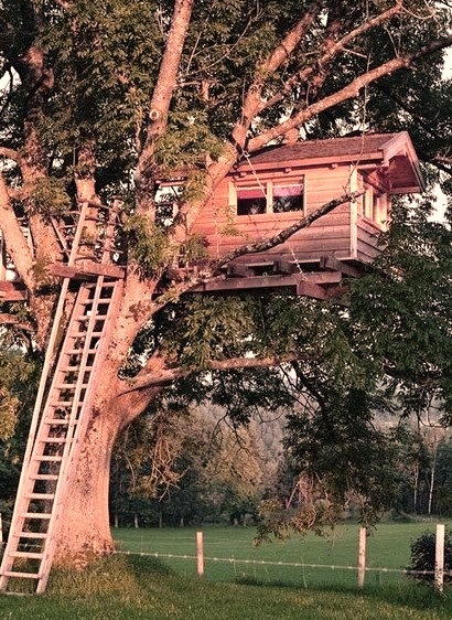 Ladder Treehouse, Marin, California