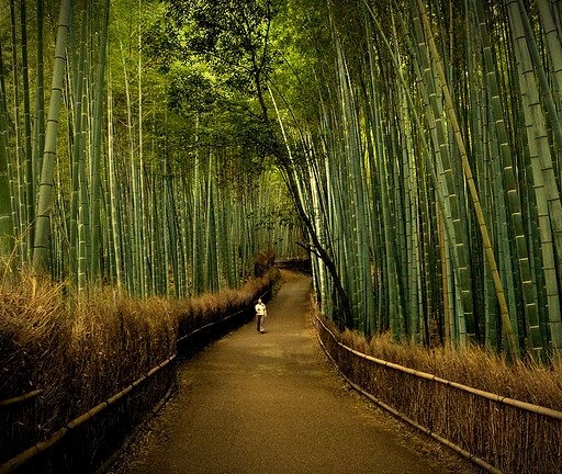 by Marser on Flickr.The path of bamboo, near Tenryuuji temple, Kyoto, Japan.