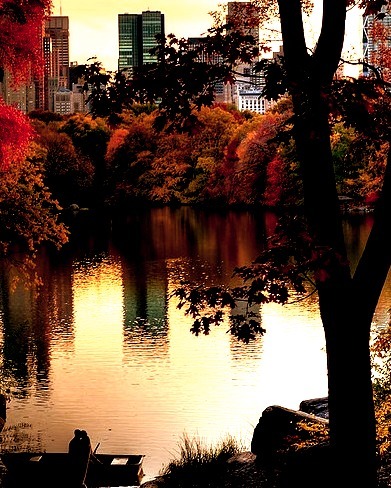 A little romance in Central Park, New York, USA
