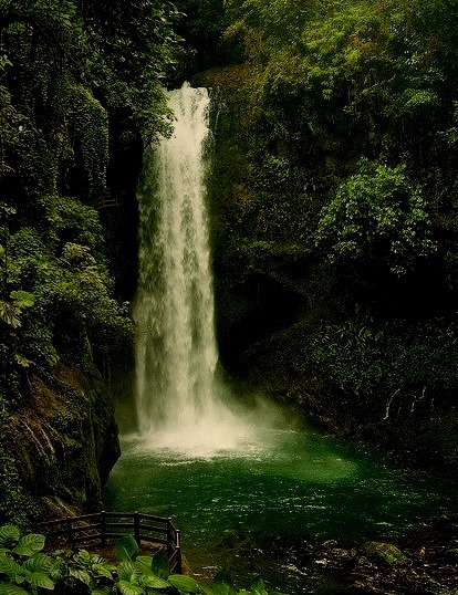 La Paz Waterfall, hidden in the rainforest of Costa Rica