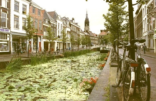 Stagnant canal with lily pads in Delft, Netherlands