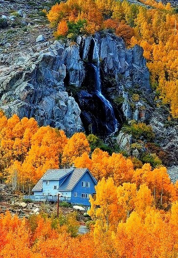 Autumn colors in Eastern Sierras, California, USA