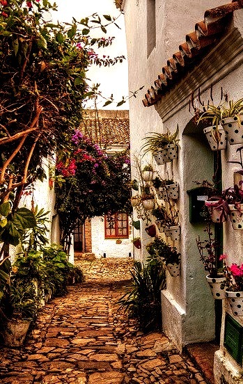 Beautiful streets in Castellar de la Frontera, Andalusia, Spain