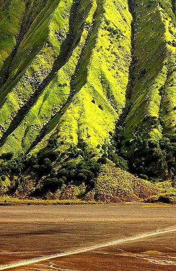 The green slopes of Mount Batok, East Java, Indonesia