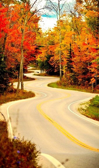 Winding road in Door County, Wisconsin, USA
