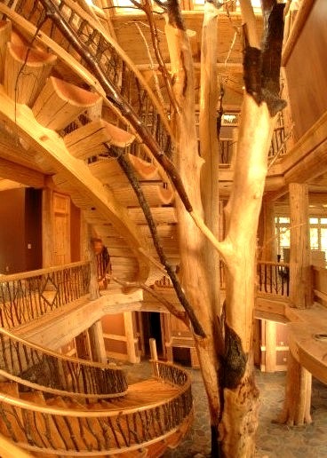 Tree House Staircase, Ostego Lake, New York