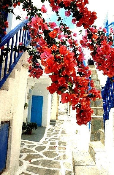 Narrow paved alley in Naoussa, Cyclades, Greece