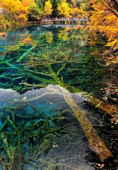 Five-Flower Lake in Jiuzhaigou Valley, Sichuan / China